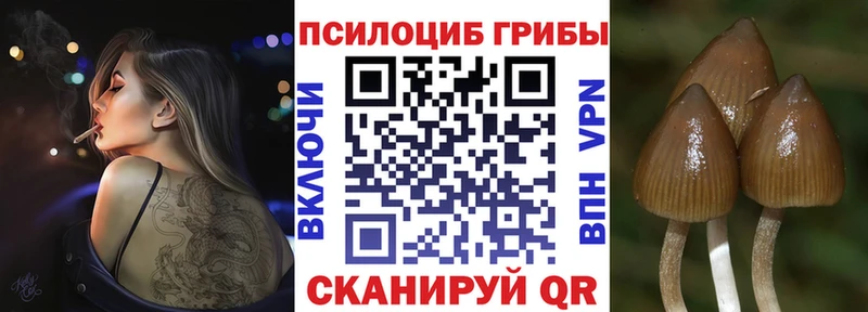 Купить закладки  Туймазы  Галлюциногенные грибы GOLDEN TEACHER 